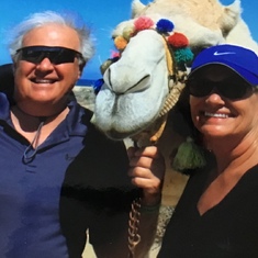 Cabo.....camel ride was great fun!