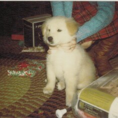 A blast from the past....Max!  Nanni has this pic and I couldn't help but post it!