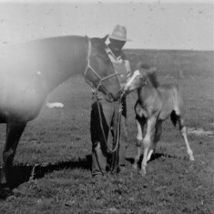 1948  Ben, Babe and Trigger at about 4 mo.