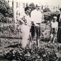 Dave and Mary Jane's Victory Garden