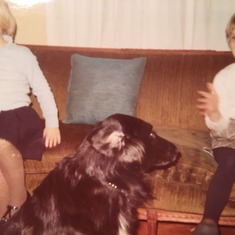 Tina, beloved family dog Suzy, and Andrea Luce