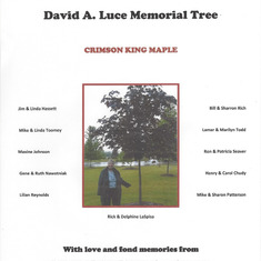 Tree Memorial Final