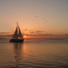 Sailboat on Laguna Madre, Corpus Christi Tx (photographed by Ann Williams)