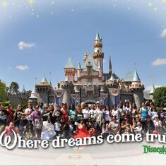 Global MJ Disney Day 2014, 27th June - David is in the front on the left.