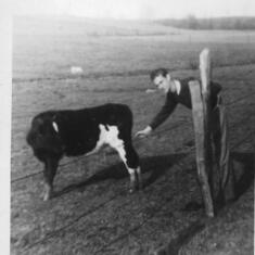 1948 - "This is no bull - Its a cow, I think" -Dave.    Always the joker.