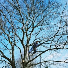 The tree pruning side of Dave.
