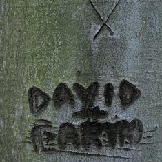 on a tree in Stoney Creek Park. Happy Earth Day David! Love.