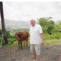 St. Lucia and a skinny cow (I would love to know what Dad was thinking)