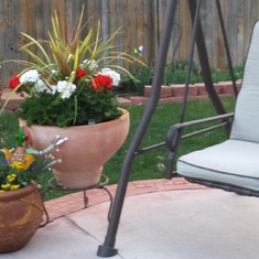 flower pot and swing