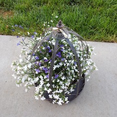more flower pots iii
