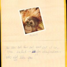 A birthday card from you to me.  The monkeys were always the joke.  I miss you every day.  