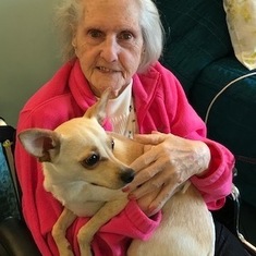 Denise loved her visits from Marco, Tim's dog one of her neighbors at Chapter One condos