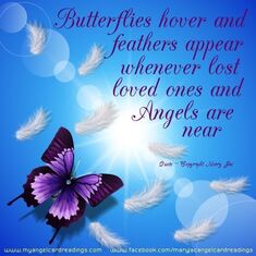 BUTTERFLIES MEANS A LOVED ONE IS NEAR I SEE YOU ALL OF THE TIME!