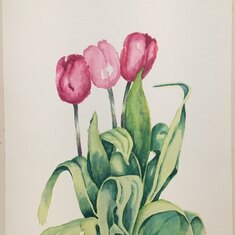 Tullips watercolor