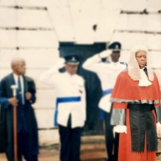 Chief Justice Desmond Luke