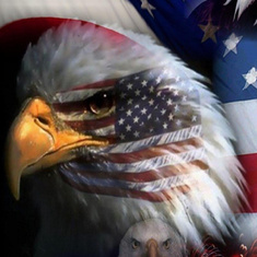 USA_Flag_Eagle-wallpaper-10731292