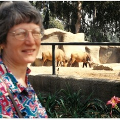 Diane at a Zoo