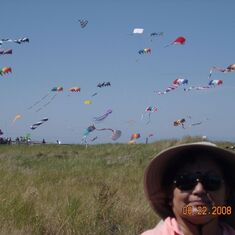 266  Intl Kite Festival 2008