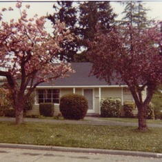 House in Magnolia