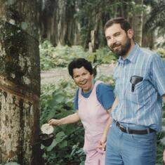 Rubber trees - Ecuador 1991