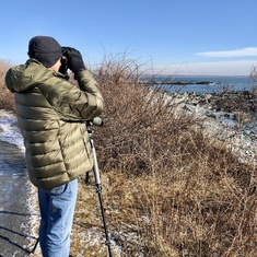 Looking at a Snowy Owl. Sachuest Point National Wildlife Refuge - Middletown, Rhode Island. 2018