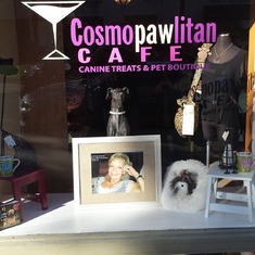 Dona's passion - Cosmopawlitan Café
