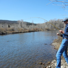 Catching trout