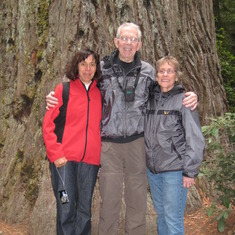 Don, Ros, and Annette in the Redwoods Forest.