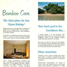 Bamboo Cove Brochure (Inside)