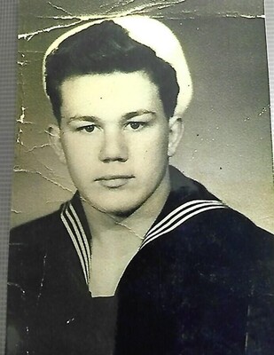 Donald M Goebel