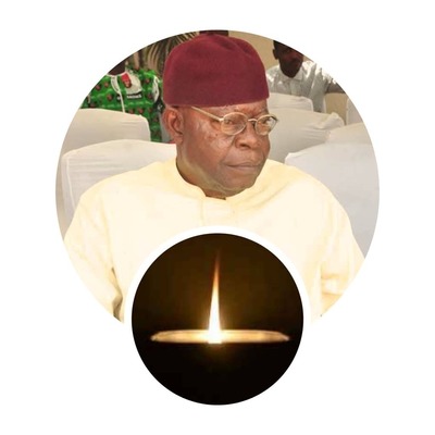 Donatus Onyekelu Okafor (fnitp OOSB)