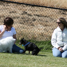 Dublin Dog Park 2007 Donna,Nicole,Jada and Windsor