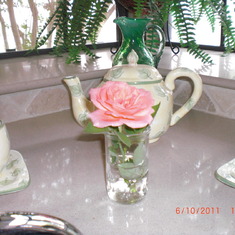 From Grandmas Rose Garden June 2011