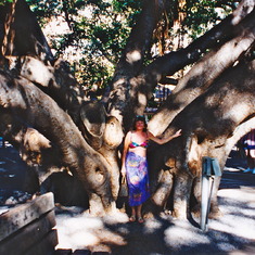 Dee next to the biggest tree I've ever seen!