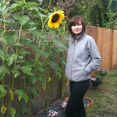 Dorota Sunflowers 1