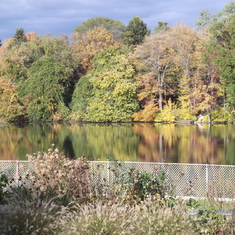 Kellner's Pond at Apple Blossom