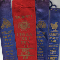 Prize Ribbons for equestrian events (and a show chicken).