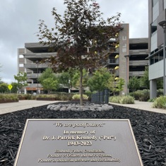 I wanted to  share a picture of the Pat Kennedy Memorial on-site at the San Leandro Tech Campus