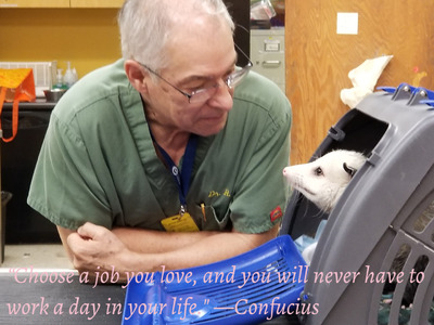 Dr. Richard Park Smith DVM