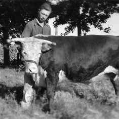 Earl and one of his bulls