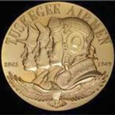 Congressional Gold Medal ~ awarded to the Airmen by President Barack Hussein Obama in 2002