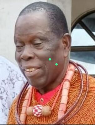 Chief Edgar E Oyibo JP