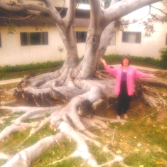 Edith Hosler and her Great Tree in Carlsbad CA 1991