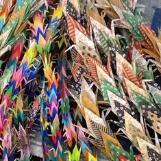 1450 paper cranes folded by Eddie's friends and family while he was in El Camino Hospital 2016 Feb./Mar.