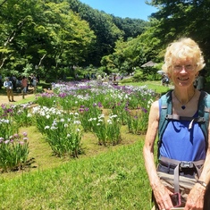 Tokyo 2019 - Iris Garden, Meiji Jingu