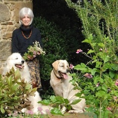Ellen's dogs and garden