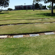 Frances and Bryan Cotten's graves in Inglewood Cemetery.