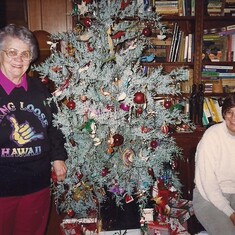 Christmas at Ox Hollow Haven 1992