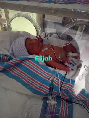 Elijah Jessie Crockett