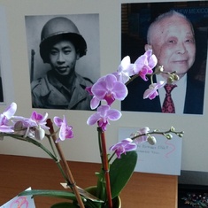 orchid remembrance from Ina to Stella at the Senior Center. Such comfort from a special friend. Stella, may our Lord Jesus Christ grant you the comfort in your momentary loneliness. Trust the Lord with all Your heart, and he will turn your mourning to joy